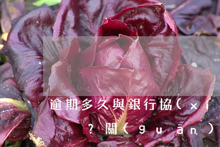 逾期多久與銀行協(xié)商最有效？關(guān)鍵期限及影響解析